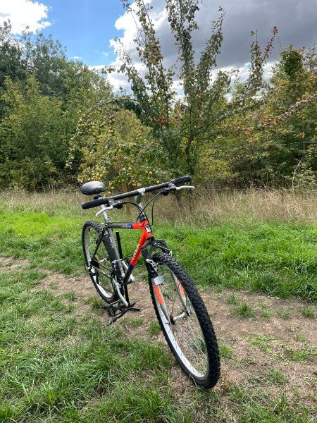 Early 1990s Trek Antelope 850 16’’