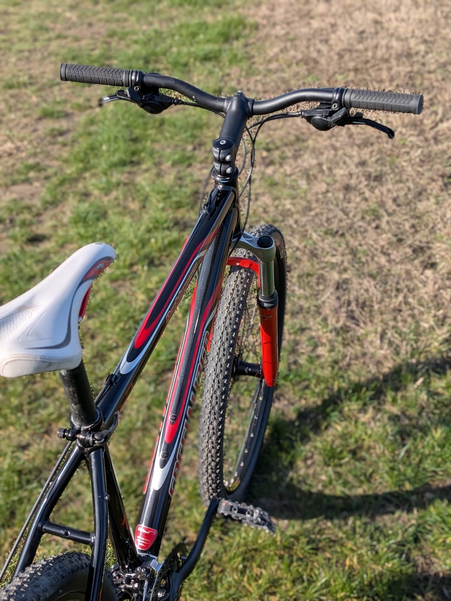 Specialized Rockhopper Comp 19" Professionally Recommissioned, Hand-Built Original