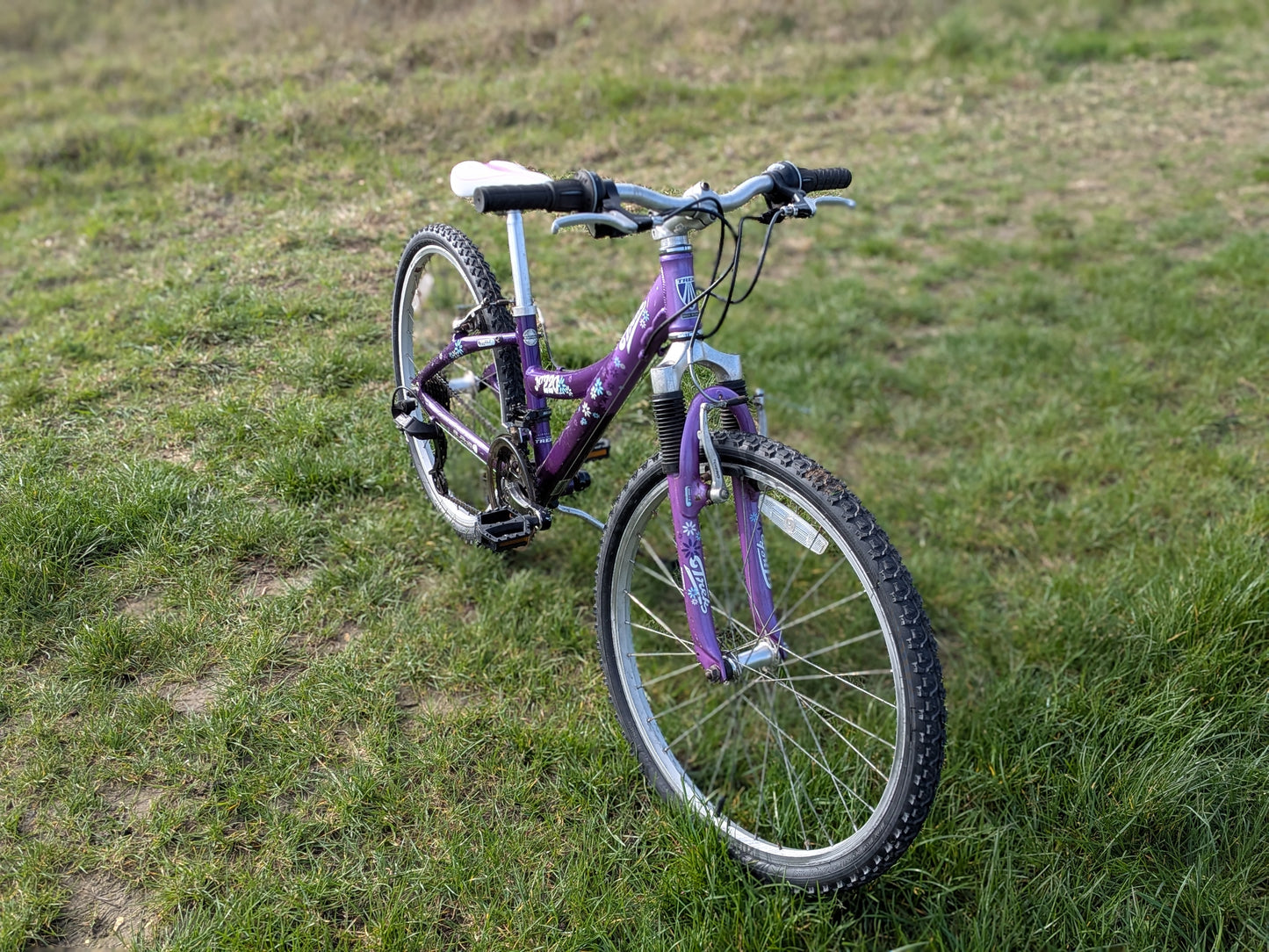 Trek MT220 24" wheel Fully Serviced by our Professional Mechanics