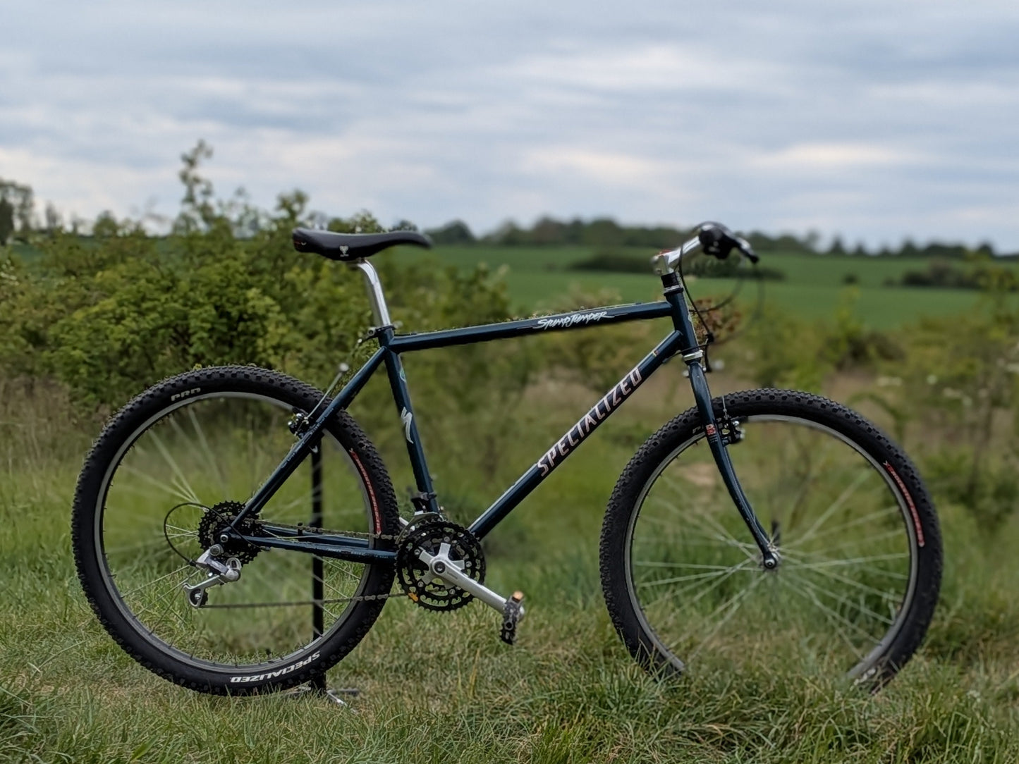 Specialized Stumpjumper Medium (18") Custom Build