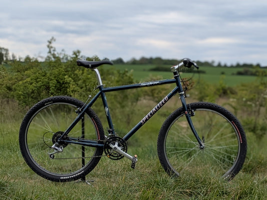 Specialized Stumpjumper Medium (18") Custom Build