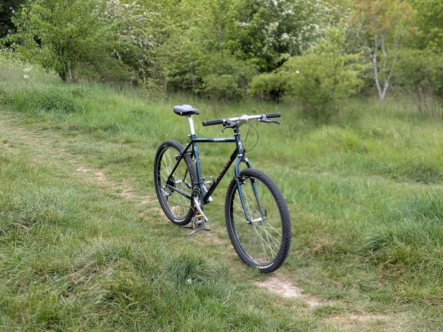 Specialized Stumpjumper Medium (18") Custom Build