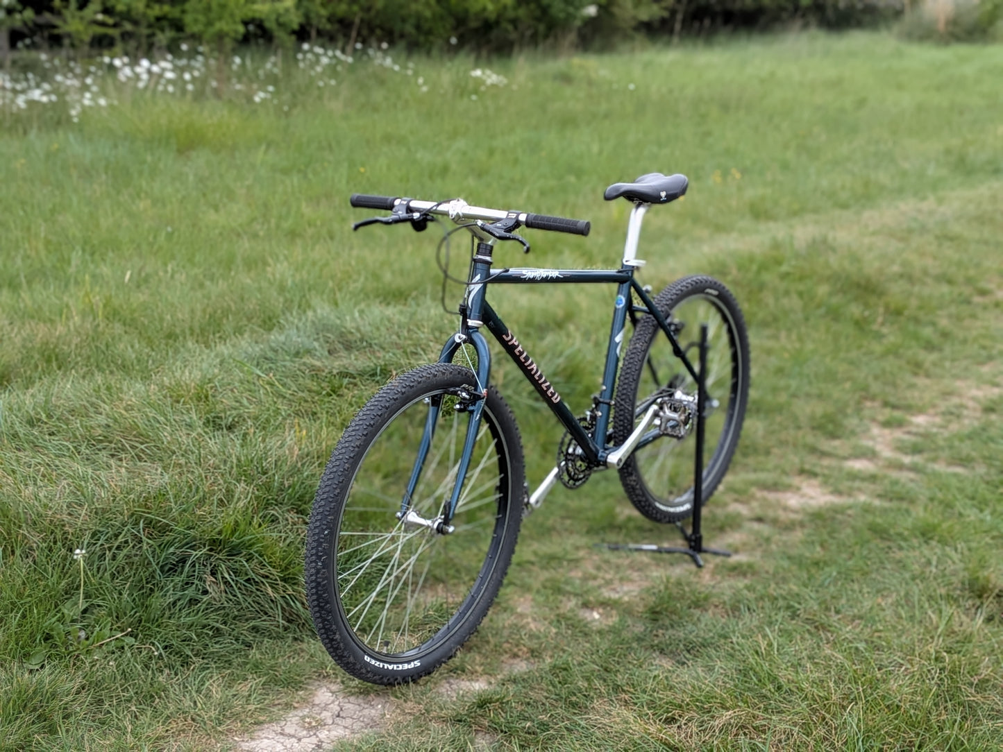 Specialized Stumpjumper Medium (18") Custom Build