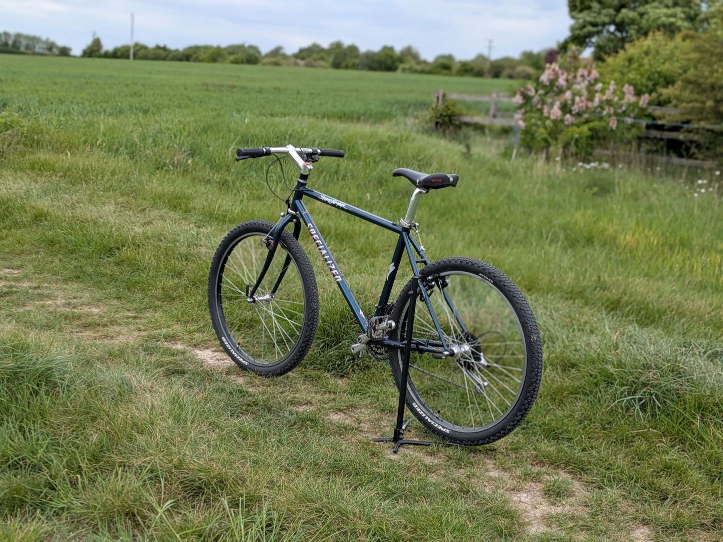 Specialized Stumpjumper Medium (18") Custom Build