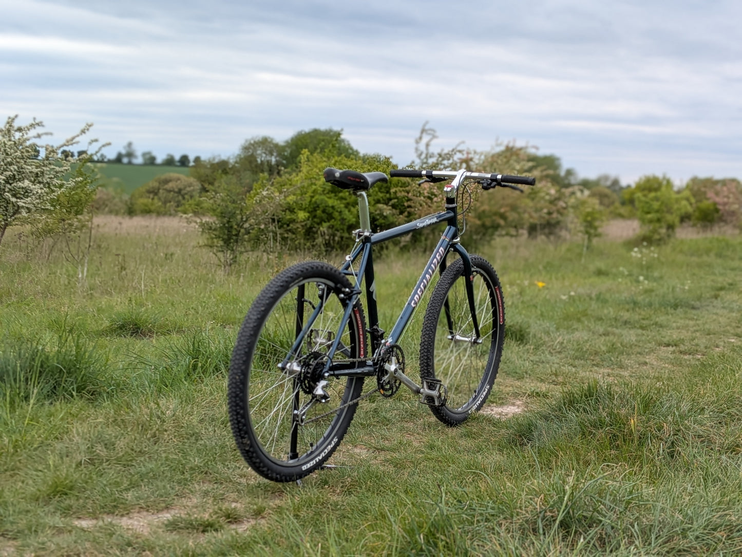 Specialized Stumpjumper Medium (18") Custom Build