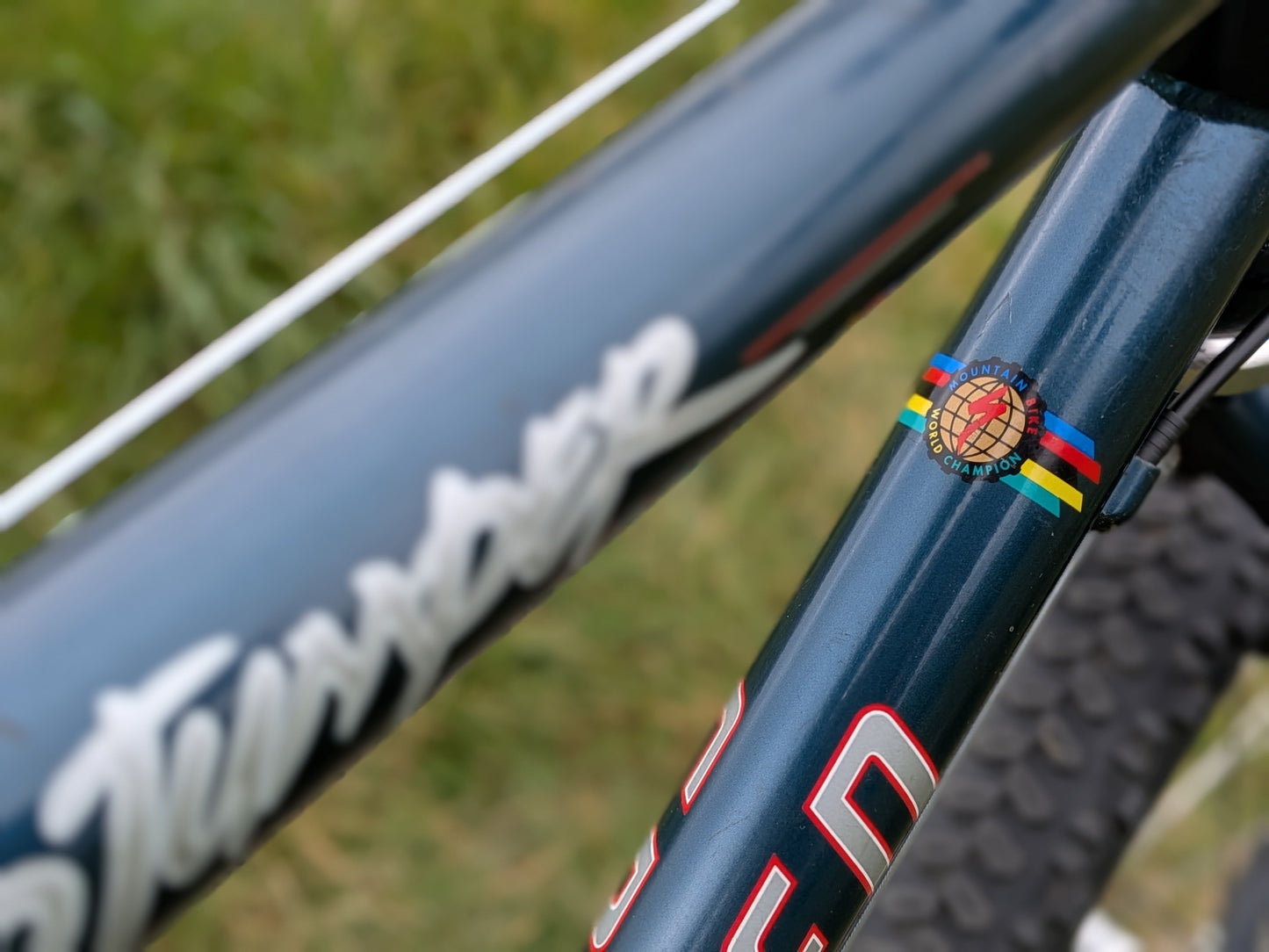 Specialized Stumpjumper Medium (18") Custom Build