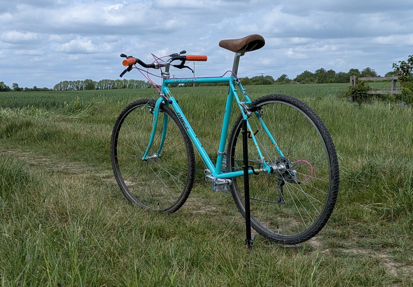 Dawes Backstreets 54cm One-Off Custom Build