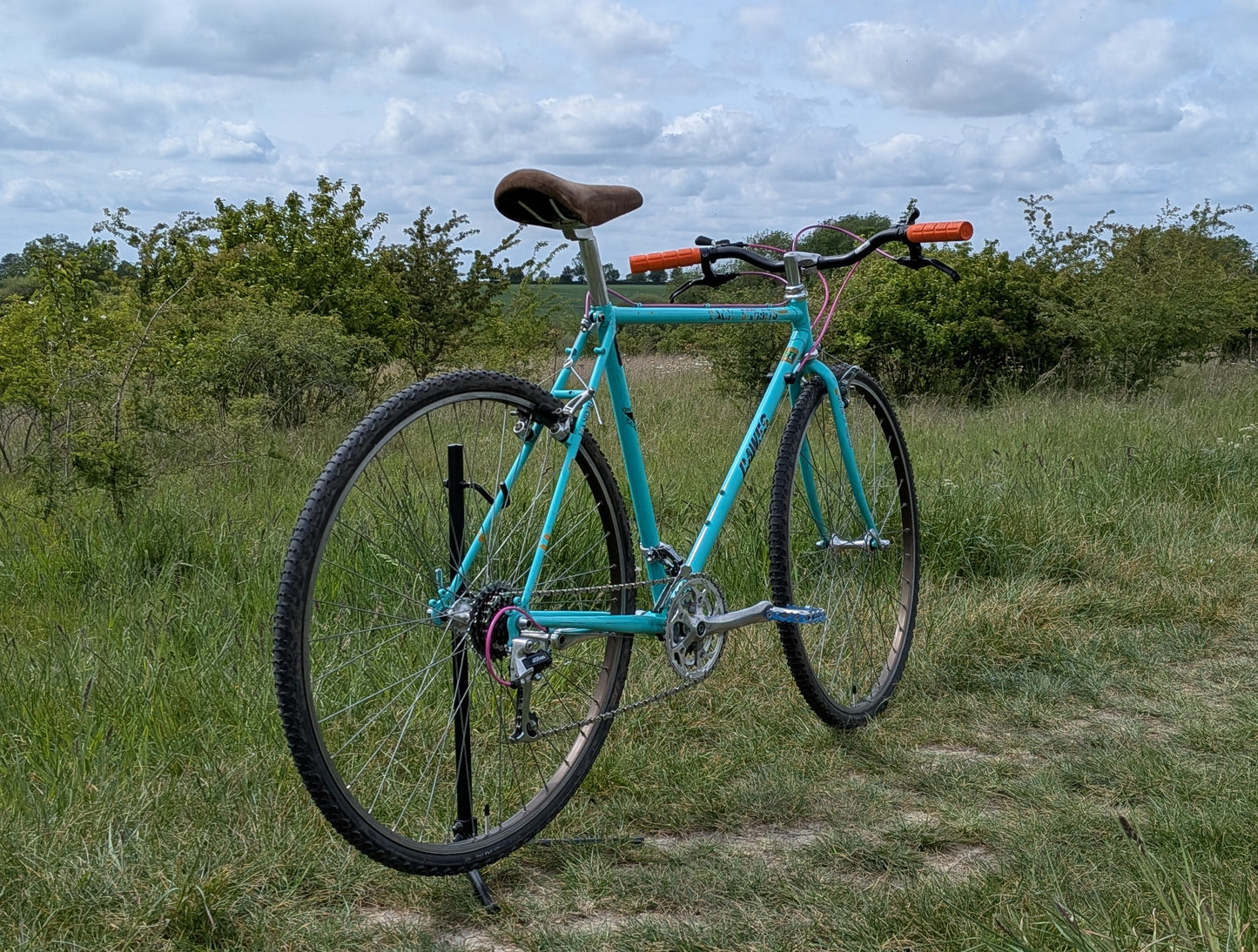 Dawes Backstreets 54cm One-Off Custom Build